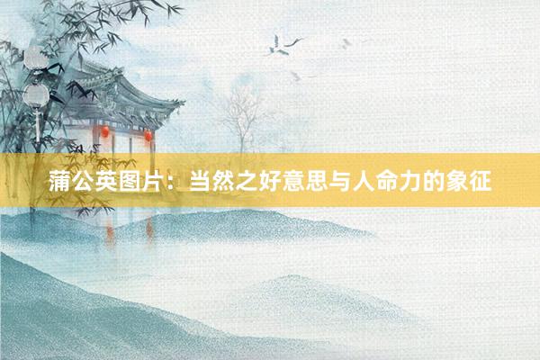 蒲公英图片：当然之好意思与人命力的象征