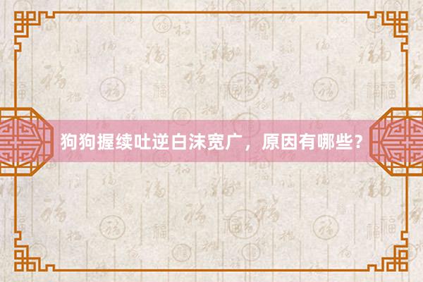 狗狗握续吐逆白沫宽广，原因有哪些？